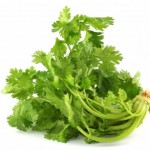 Cilantro – Aromatic herb with amazing nutritional facts