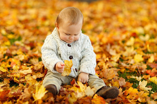 Baby in leaves